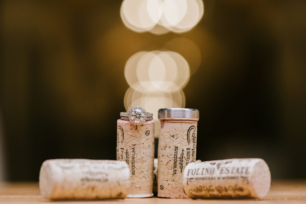 Premier Lehigh Valley Wedding Photography Birds of a Feather Photographer PA 007 041