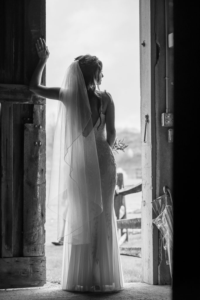 Premier Lehigh Valley Wedding Photography Birds of a Feather Photographer PA 007 055